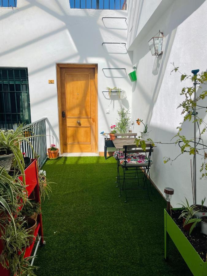 Penthouse At City Center With Terrace Sevilla Exteriér fotografie