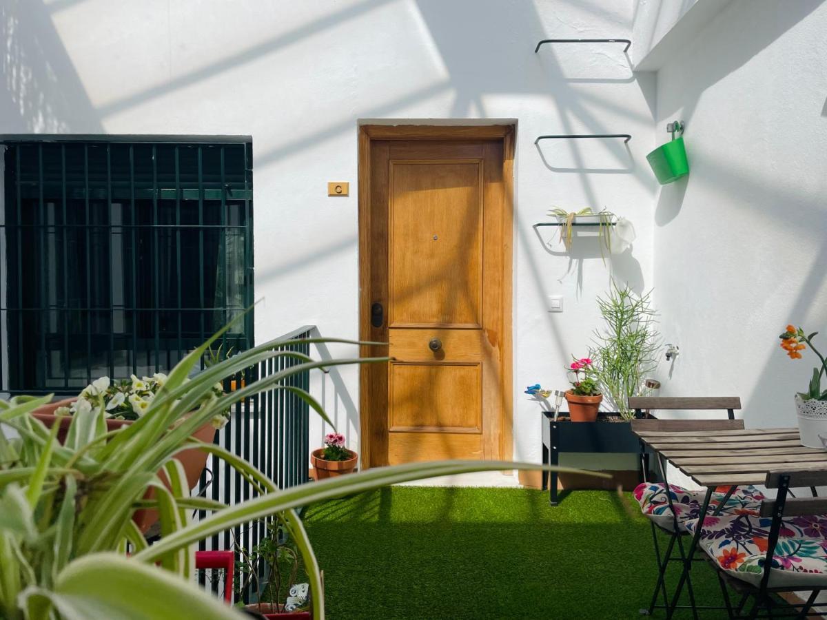 Penthouse At City Center With Terrace Sevilla Exteriér fotografie