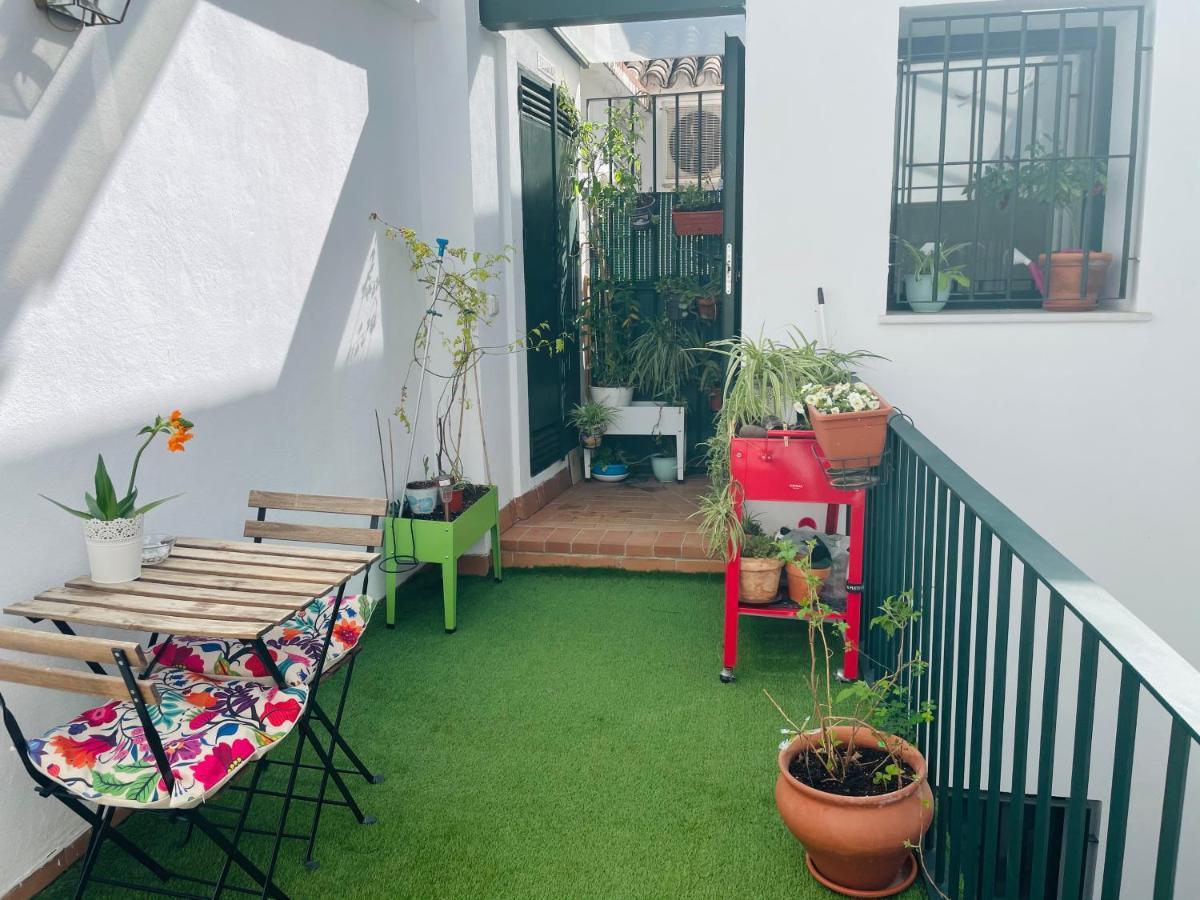 Penthouse At City Center With Terrace Sevilla Exteriér fotografie